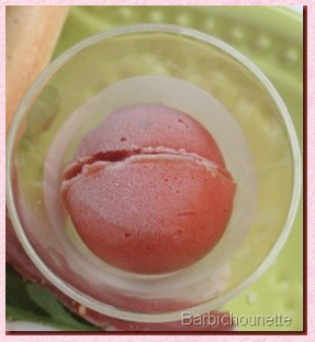 Sorbet à la tomate et au Basilic….