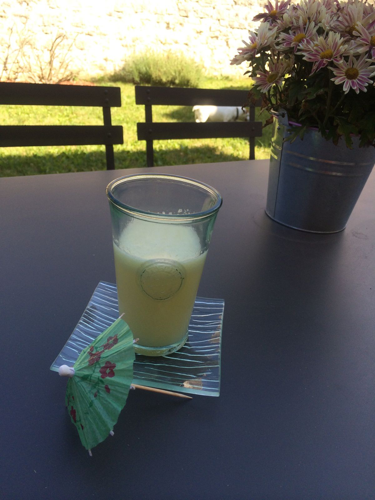 Il fait chaud ! Il fait soif ! Voici ma citronnade !