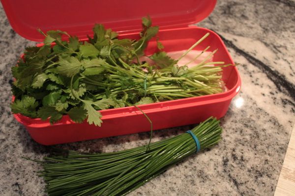 Astuce pour conserver les herbes aromatiques