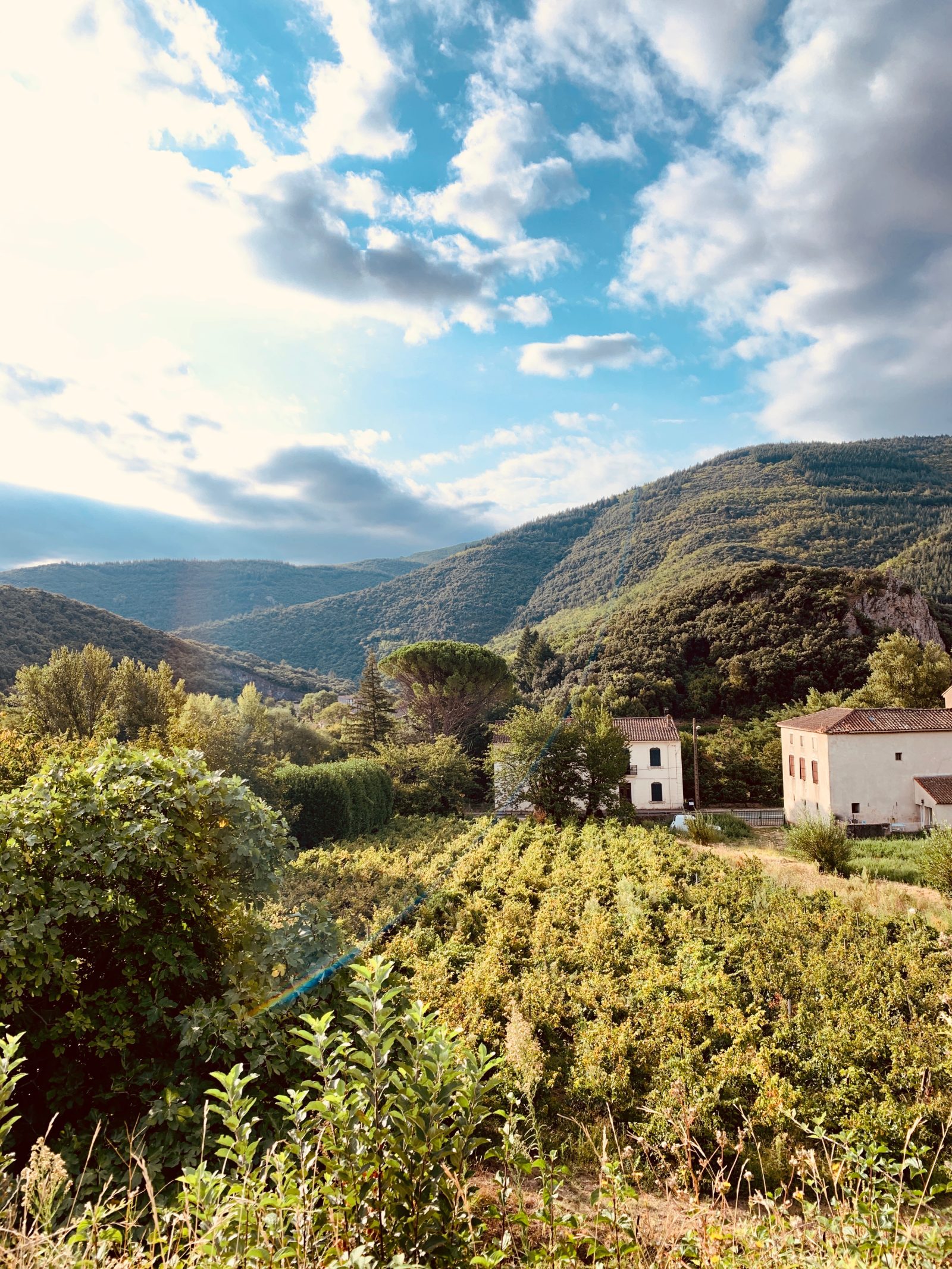 Coucou du dimanche et jolie balade en Occitanie