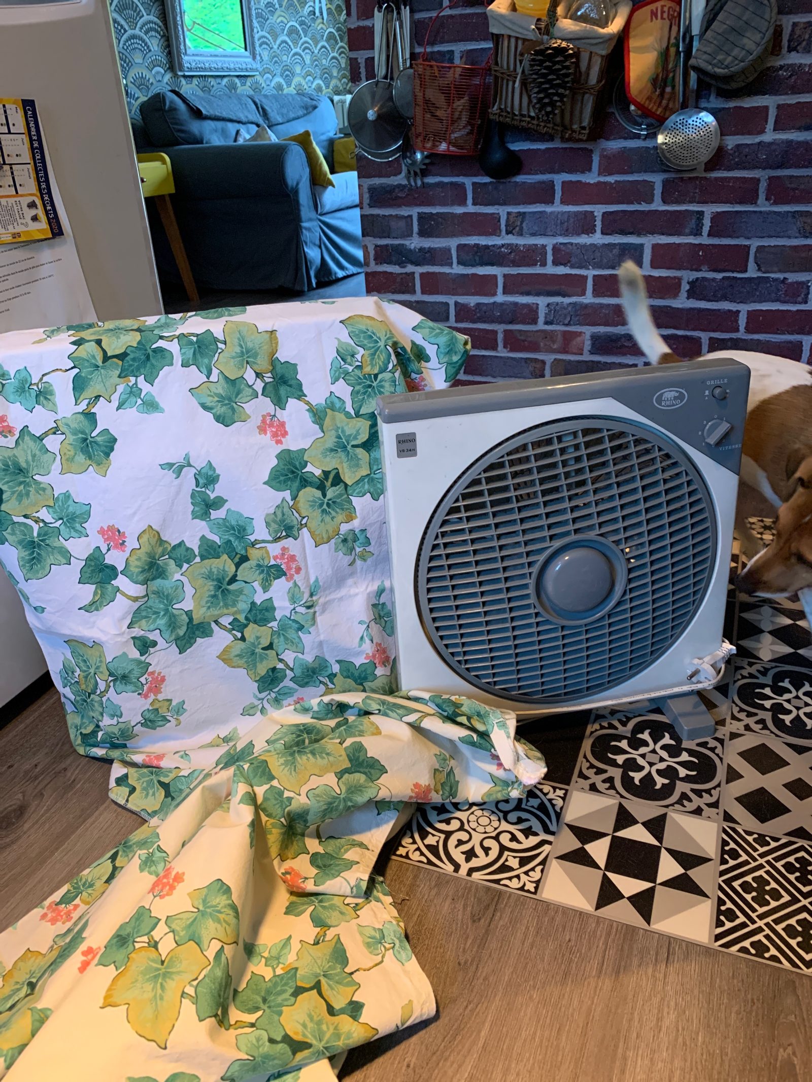 Coucou du dimanche et rangement !