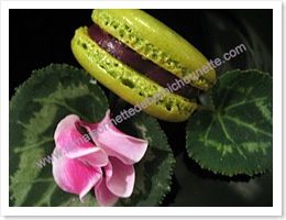 Un cadeau un peu en avance pour Noël, recette de Macarons au Thermomix