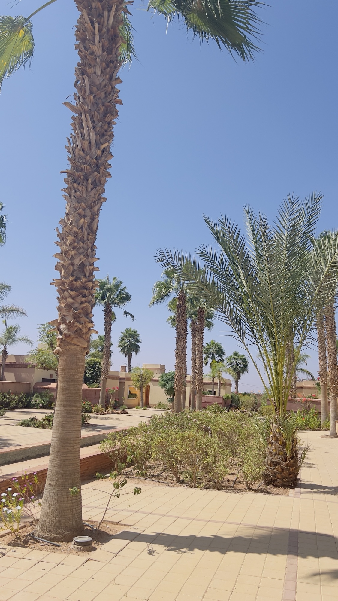 Journal de bord de mes vacances au Maroc: jour 8