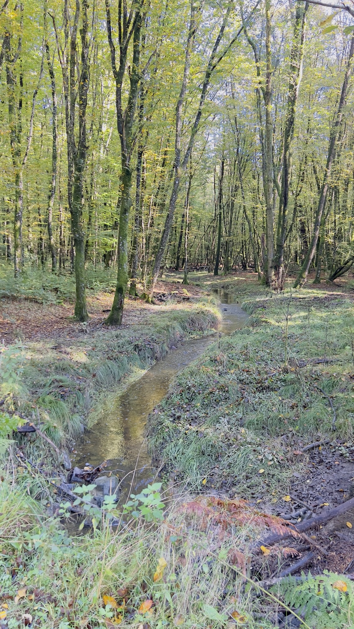 Au rythme de la campagne Bretonne